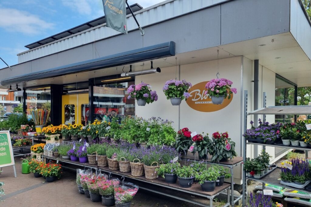 bloom flowerstudio