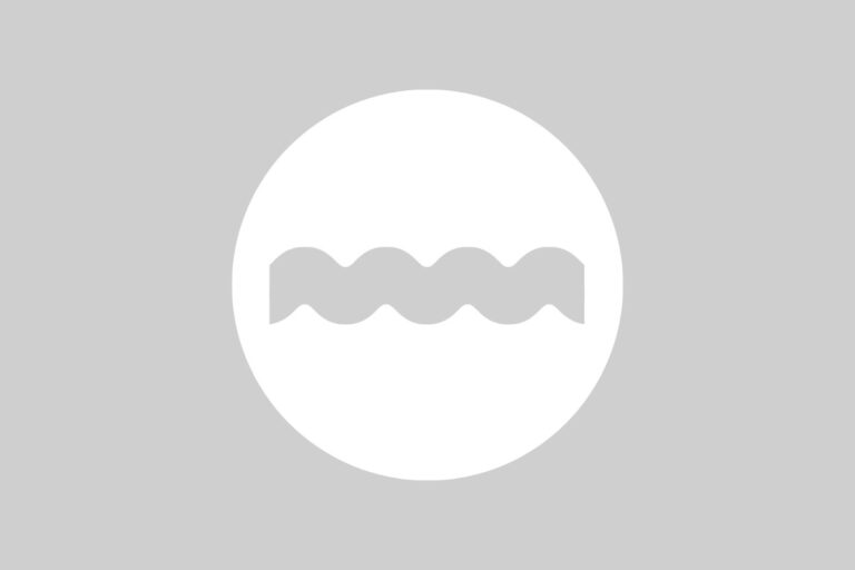 fallback image